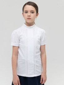 12.04  Pelican �������� ��� ������� GFTS8139 �����