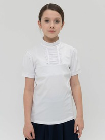 12.04  Pelican �������� ��� ������� GFTS8140 �����