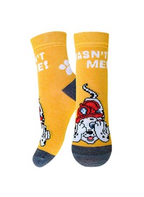 26.05 ��������� PAW PATROL ��������� ����� ������� 3072 PAW PATROL 21�3072 �����