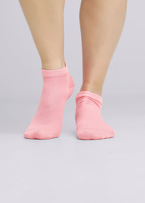 �����  ��� ����� ������� ��� �105� �������