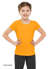 �����  Clever �������� ������� ��� ������� CLE 902366-02 �.�����