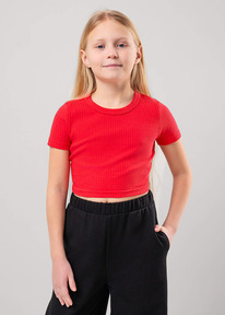 �����  Clever �������� ������� ��� ������� CLE 856874�� �������