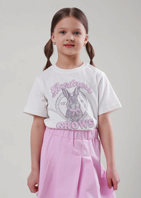 �����  Clever �������� ������� ��� ������� CLEVER 866748/11��_� ��������