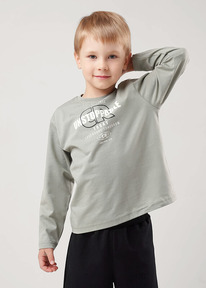 �����  Clever �������� ��� �������� CLE 866771��_� ����