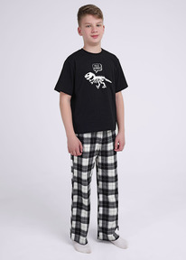 �����  Clever �������� ���. CLE 909540��_� ������/��������