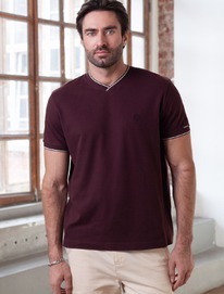 �������� � V-������� �� ������������ ������ � ���������