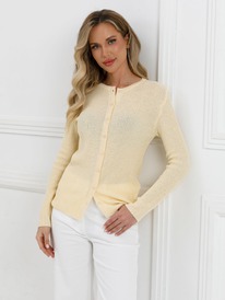 ������� PRIZ 255810-0039 �����