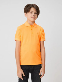 22.04 Acoola �������-���� ������� ��� ��������� Palau 20130490002 ���������