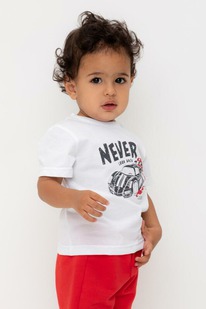 22.04 Crockid ������� (��������) �/��� �� �� 302719/����� �548