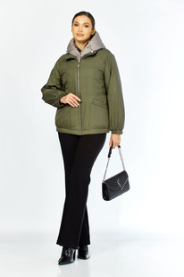 ������ SHETTI 2213 �����