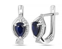 ������, ������ ������, SL-RIC111