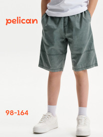 01.06 Pelican ����� ��� �������� BGH3394 �������