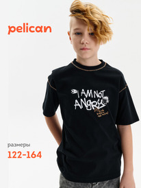 01.06 Pelican �������� ��� ��������� BFT3389/5 ������