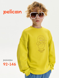 01.06 Pelican ��������� ��� ��������� BFN3387U ������