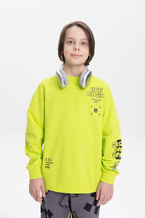 01.06 Pelican ��������� ��� ��������� BFN3369/1 ���������