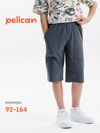 01.06 Pelican ����� ��� �������� BFH3352//1U �����