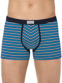 30.09 DiWaRi ����� ������� DIWARI BAND SHORTS 810 17�-495��� �������� MSH 810 (�