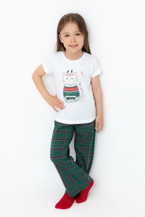 02.10 Crockid ������ ���