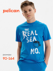02.10 Pelican �������� ��� ���������