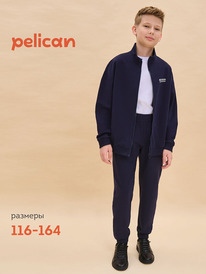 02.10 Pelican �������� ��� ���������