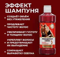 ������� ���� ������ ��������� ����