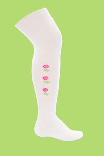 �������� ���� �������