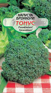 ����� �������� �������