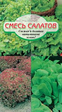 ����� �������