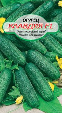 ������� F1 ������