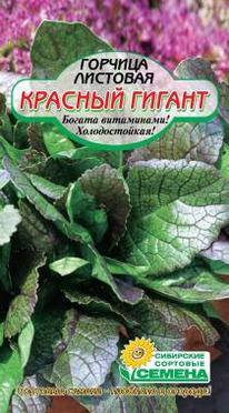 ������� ������� ������ ��������