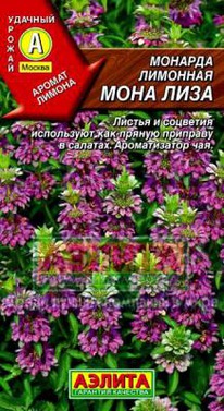 ������� ���� ���� ��������