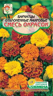 ����� ������� ��������