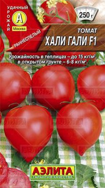 ����-���� F1 ����� (������)