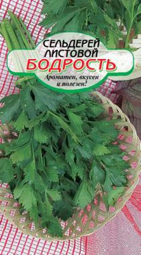 �������� �������� ���������