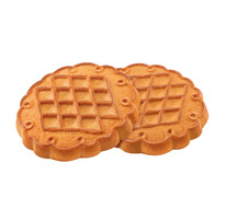 ������� ������ ������ �������