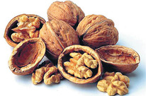 ���� �������� �����