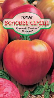 ������� ������ �����