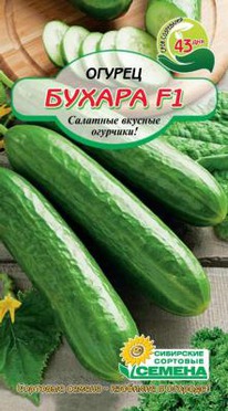 ������ F1 ������