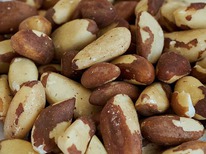 ����������� ���� �������