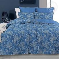 ����� ��� �����