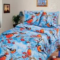 ������� ��� ����