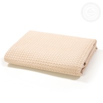 ��������� ��������� ������ �������