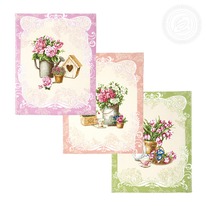 �������� �������� ��������� 