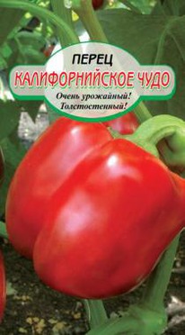 �������������� ���� �����