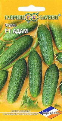 ���� F1 ������ 5 �� �������� (�)