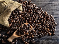 ���� ����� 