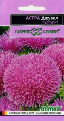 ������ �������� ����� ���������-�����. ����� ���������